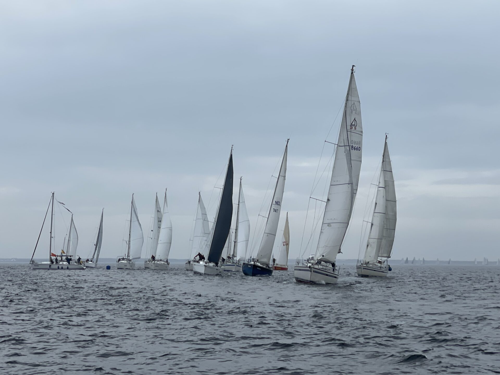 Grevelingencup - Wedstrijdzeilen in de winter voor iedereen